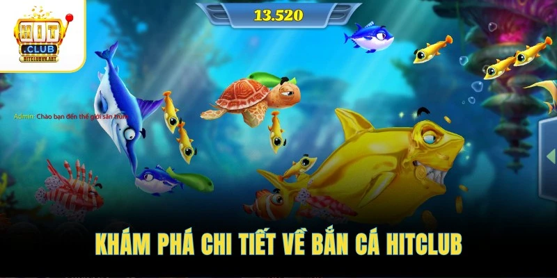 Khám phá chi tiết về bắn cá HITCLUB