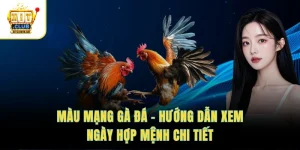 Màu Mạng Gà Đá – Hướng Dẫn Xem Ngày Hợp Mệnh Chi Tiết