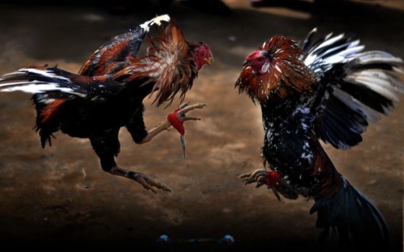 BOM88 hỗ trợ đa dạng phương thức nạp – rút tiền nhanh chóng